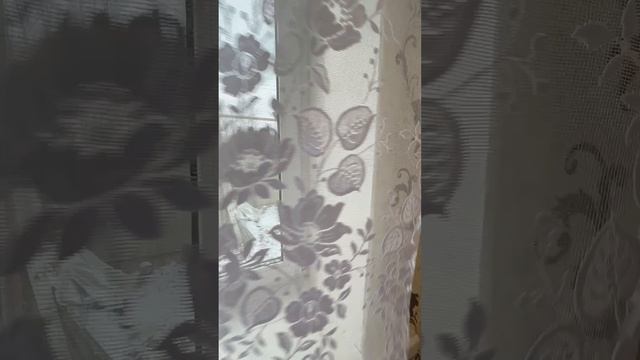 Продаём дом в Белёве на ул Коноплинской
