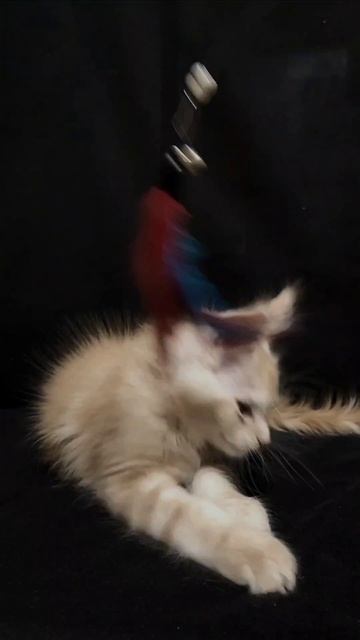 Евро