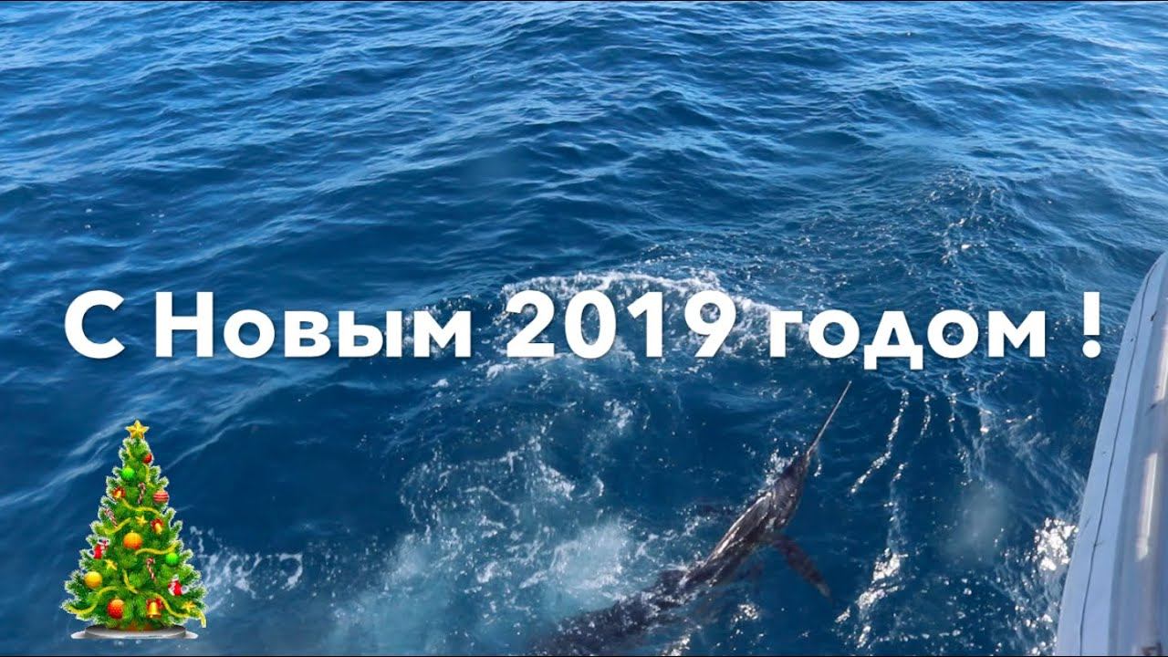 С наступающим Новым 2019 годом! Ловите большую удачу!