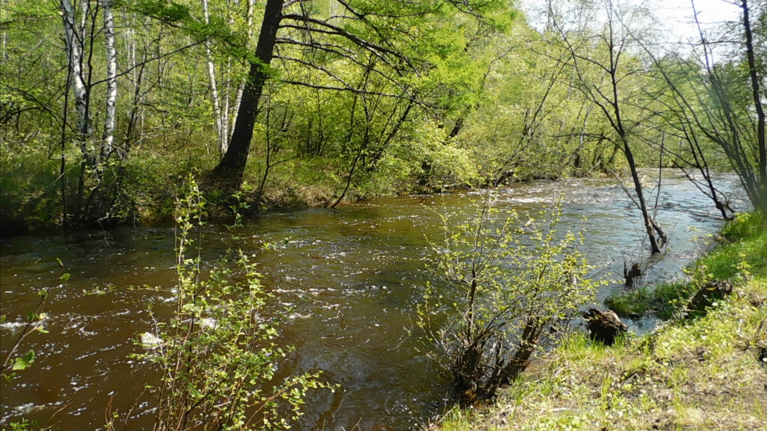 Походная зарисовка