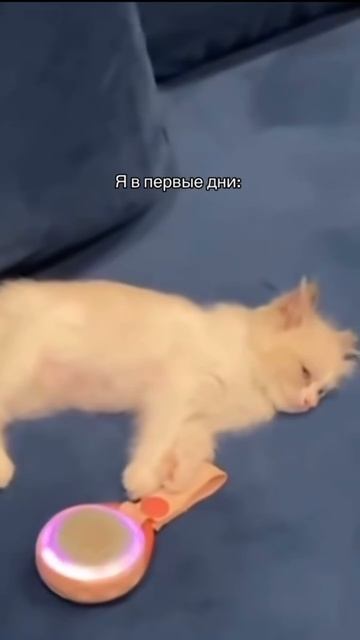 название придумаю потом 79