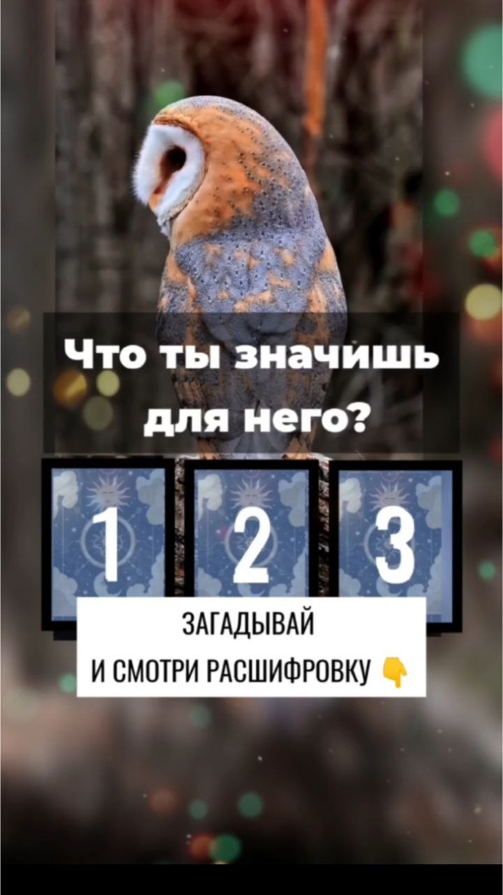 Выбирай свой вариант 💗
