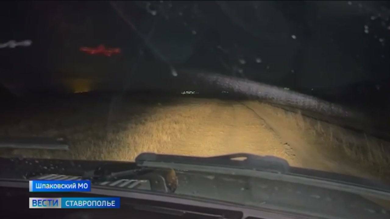На Ставрополье завершается сезон охоты на зайцев-русаков