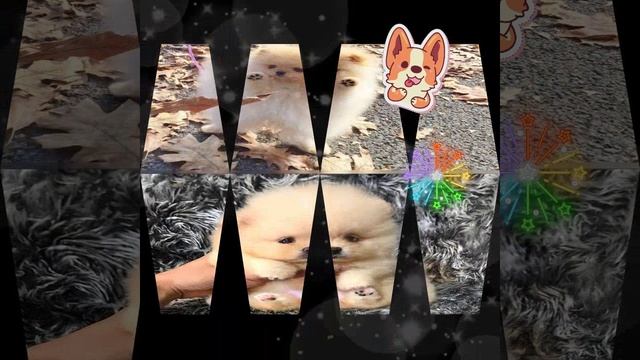 1000015983.mp4