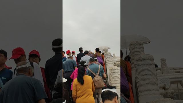 1000000496.mp4