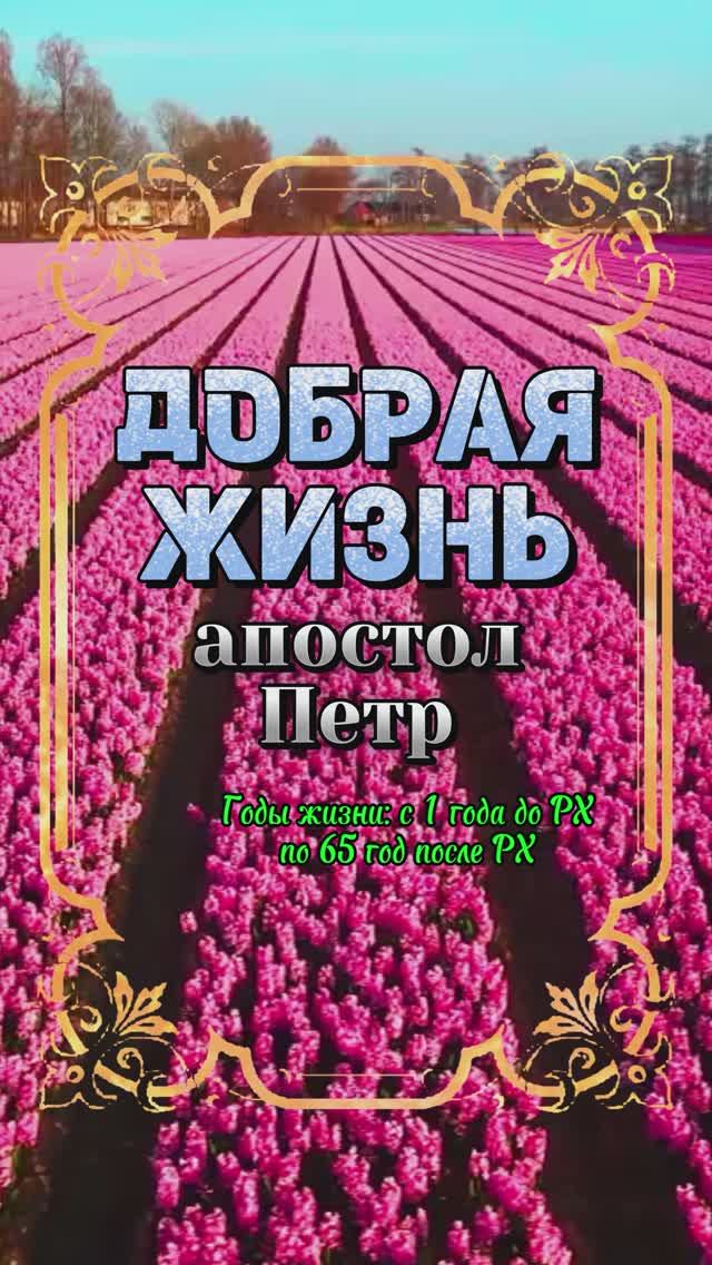 ДОБРАЯ ЖИЗНЬ. Апостол Петр