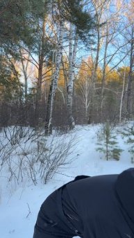 Опять попало