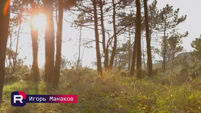 Урок 12 Плавная анимация