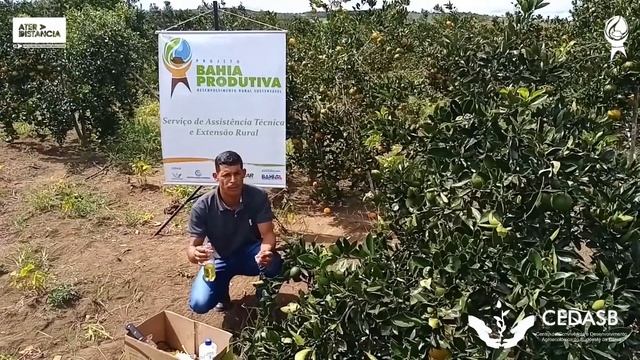 Controle de Pragas e Doenças em Cítricos - videoaula [ATER a Distância]