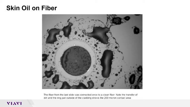 IBYC_ Fiber Inspection and Cleaning