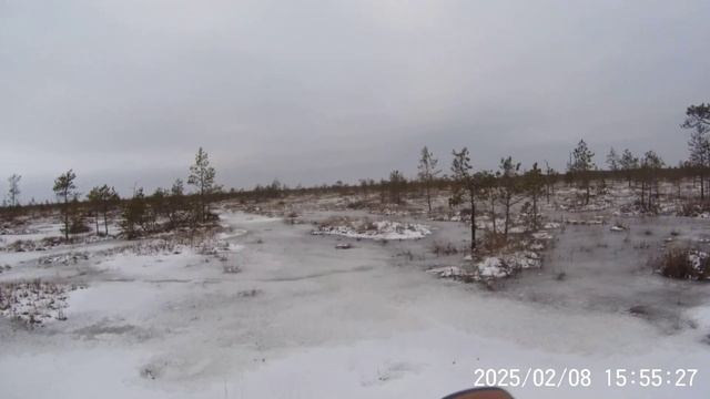 езда на велосипеде по поверхности болота