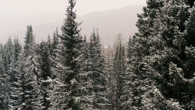 Впечатляющие Виды Русской Зимы