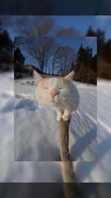 песня кайф 🎧