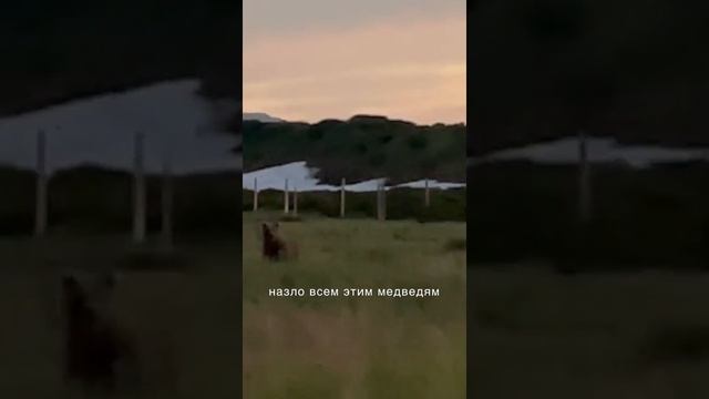 Камчатка Лососевое царство