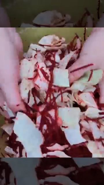 Вкуснейшая капустка готовлю на все праздники!!!🔥 🔥 🔥 🔥