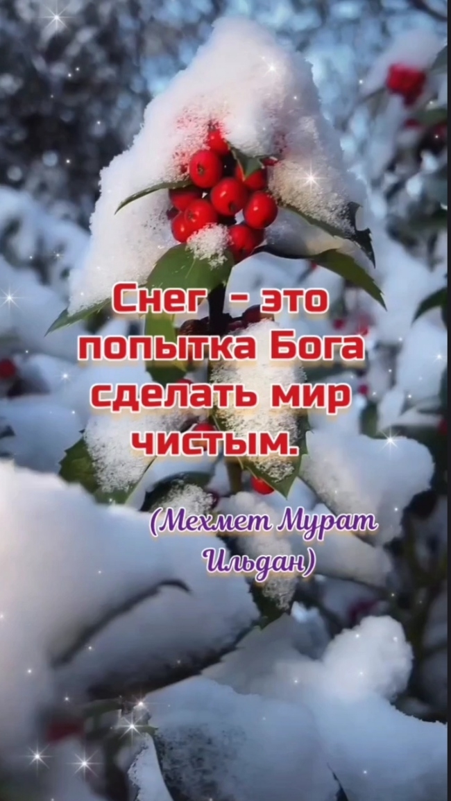 На белом-белом покрывале. Сергей Васюта.
