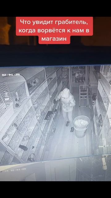 ОХРАНА #ЛучшаяМимикасИИ #покапибаримся #УютныеРецепты