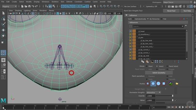 29 - Test Skinning by Posing Rough Expressions