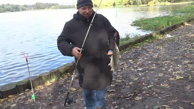 Фрагмент рыбалки на Нижнем Царицынском пруду 2024 год.