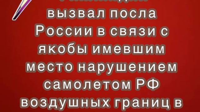 МИД Финляндии вызвал посла России