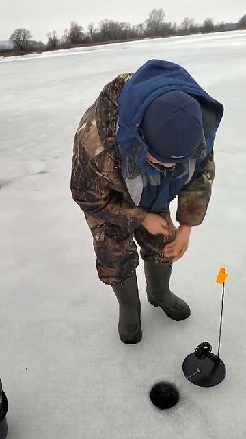 Щука