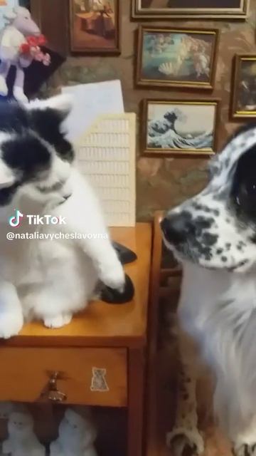 Ты же нормальная была...)))