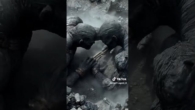 VID-20250210-WA0011