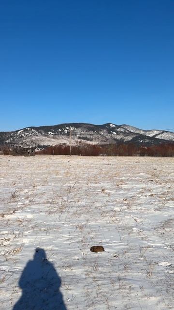 Байкал. Участок 12 соток