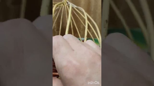 1000036733.mp4