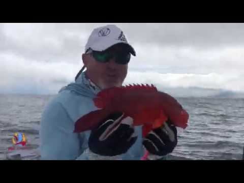 Рыбалка на Сейшелах. Ноябрь 2019.