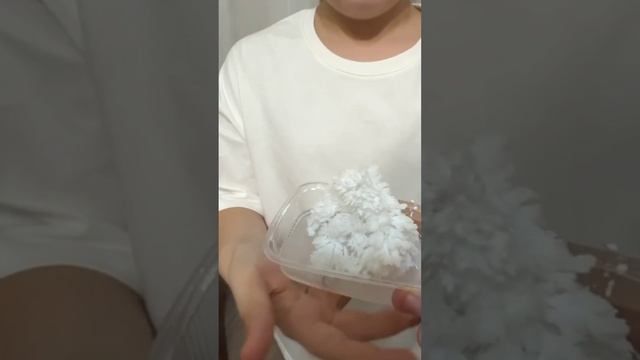1000162201.mp4