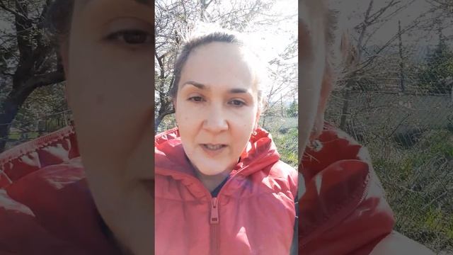 Мы купили участок в Болгарии