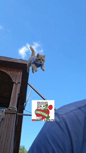 Пусть лучше в мышцах будет боль 🌞💪😻❤️🌎