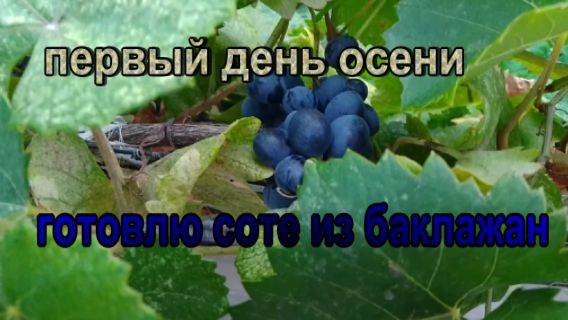 № 876 первый день осени // готовлю соте из баклажан