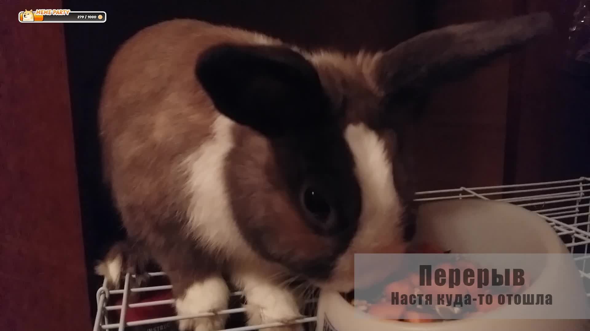 играем во все подряд