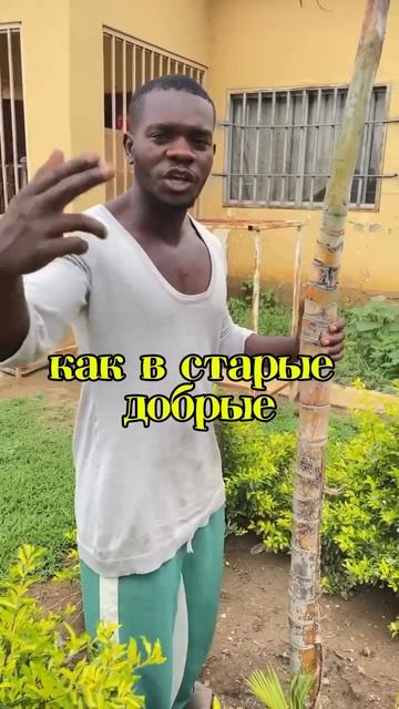 Поздравления из Африки 🌴🎁