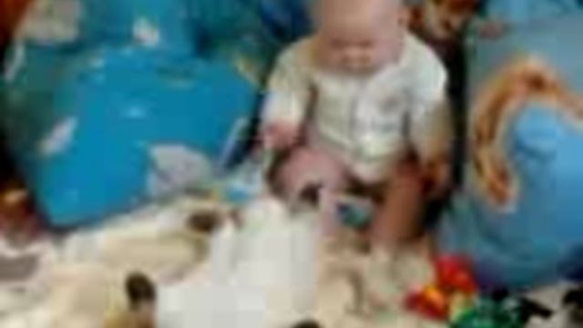 Видео0062