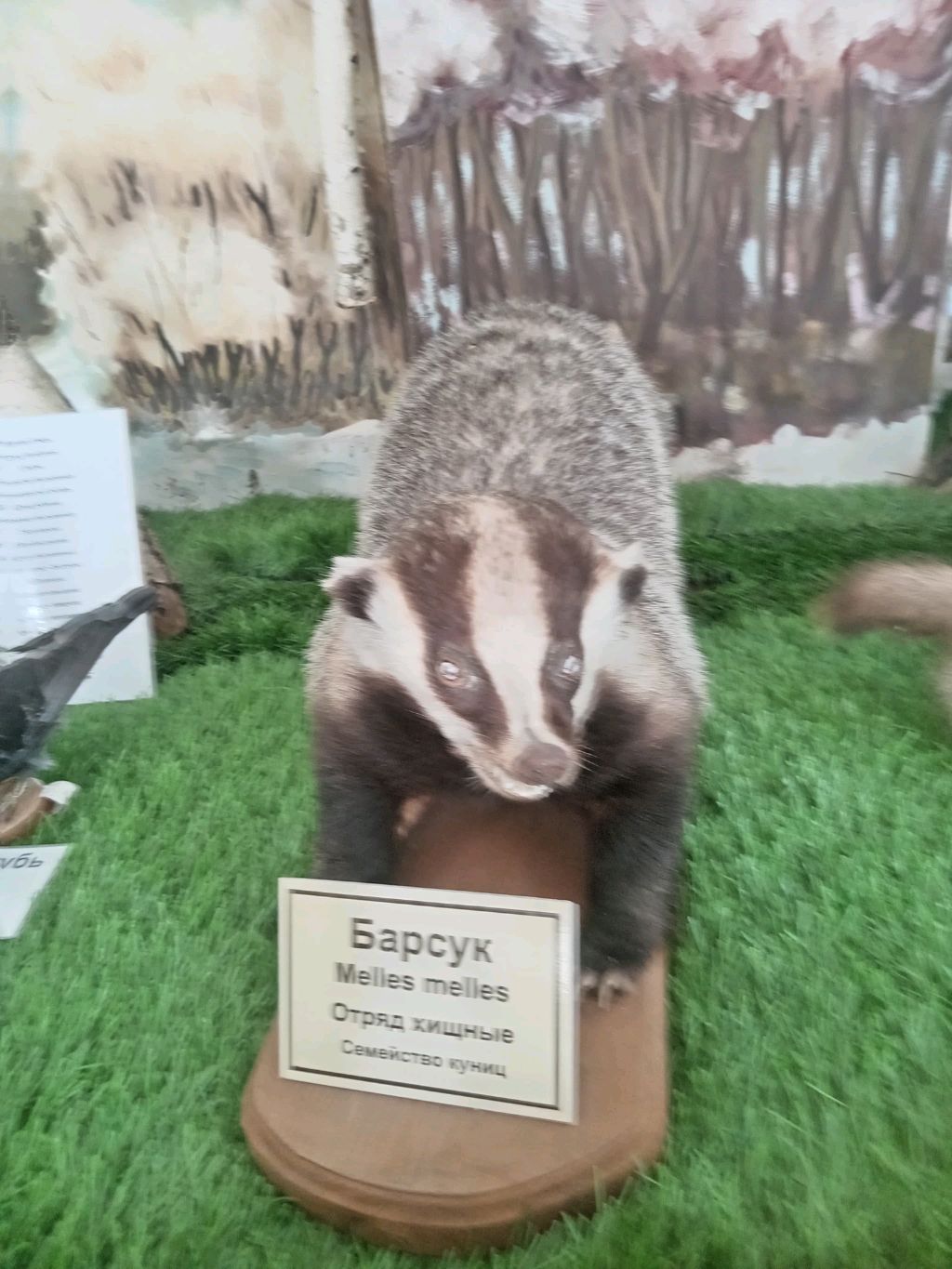 Легенда9