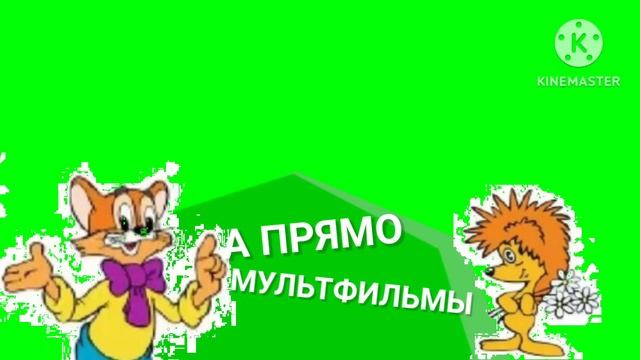10 мая 2023 г.