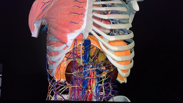 Высокое давление, что делать ? - High blood pressure, what to do?