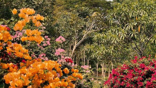 THE MOST BEAUTIFUL PARK IN BANGKOK [4K] // WACHIRABENCHATA PARK 2023