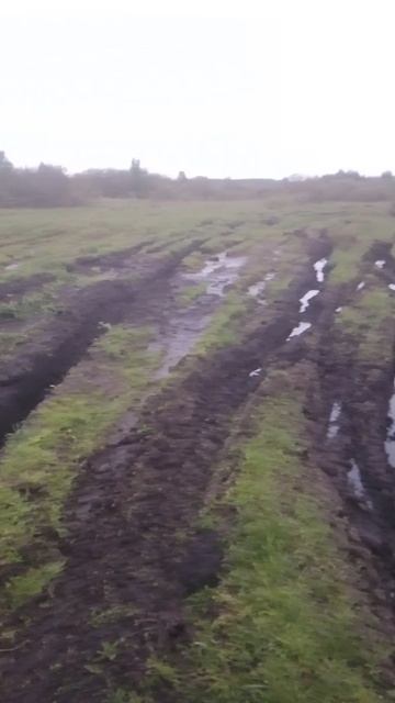 Приехали на затон от реки, идем пешком дороги нет.