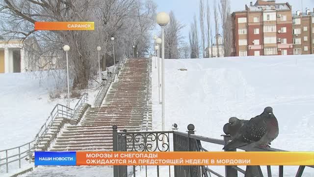 Морозы и снегопады ожидаются на предстоящей неделе в Мордовии