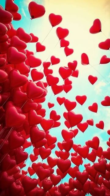 VALENTINE'S_DAY_SHORTS#short