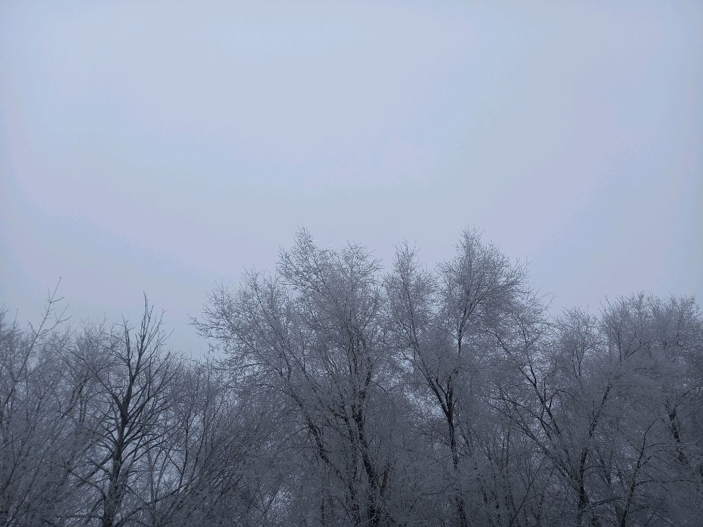 ?вопроса ответа не будет😲