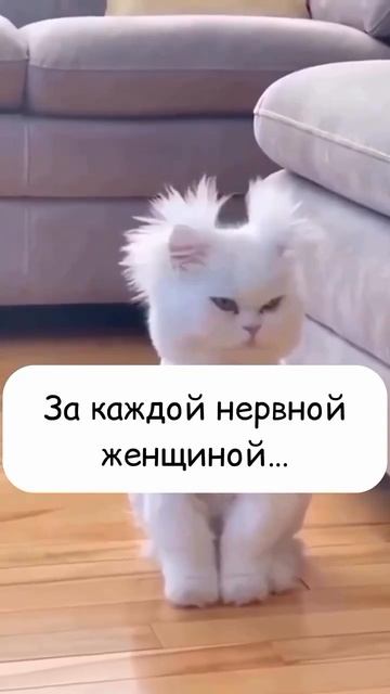 Читай по глазам 😅