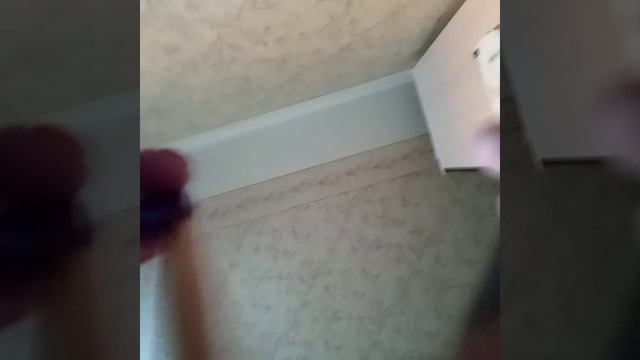 1000010016.mp4
