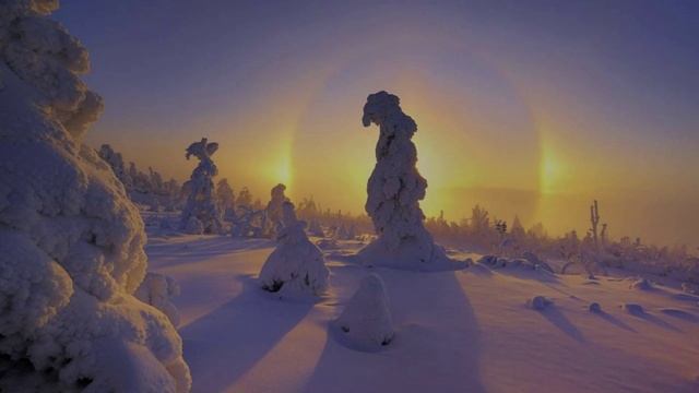 9 ФЕВРАЛЯ