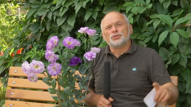 Зелёный остров Эфир: 01-09-2020