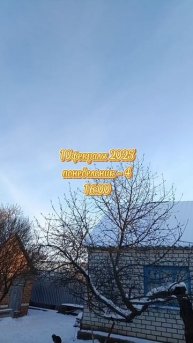 10февраля2025